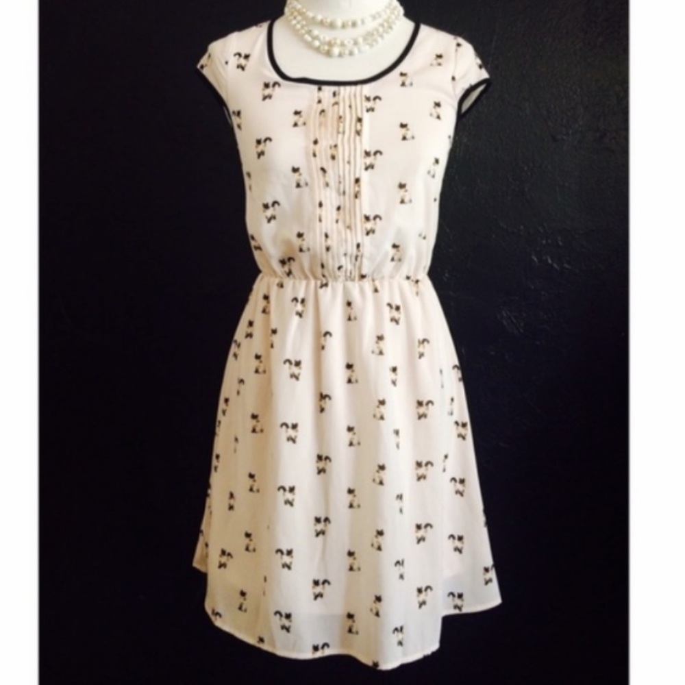 Xhilaration Cat Print Dress Size M in Juniors NWT